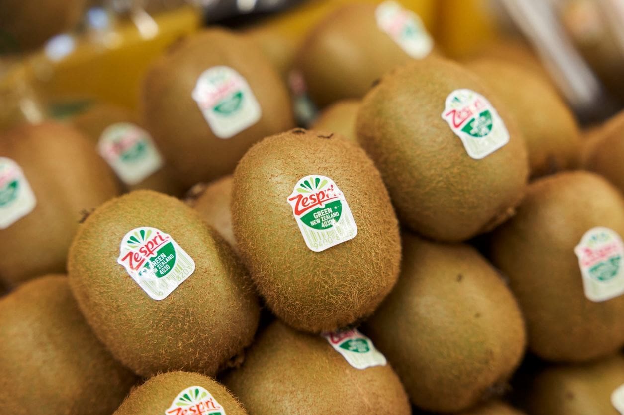 New Zealand Made with Care 2024