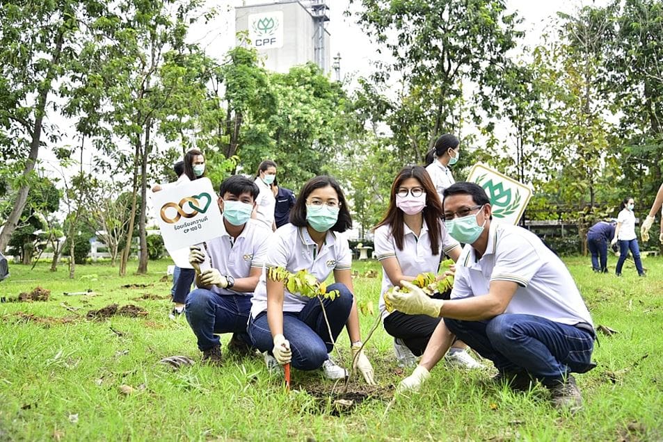 ธุรกิจอาหารสัตว์บก ซีพีเอฟ รายแรกของไทยได้รับมาตรฐาน Global G.A.P.
ระบบความปลอดภัยอาหารสัตว์ สิ่งแวดล้อม สังคมและมีธรรมาภิบาล (ESG)