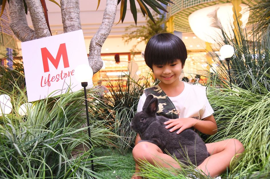 งาน “THE MALL LIFESTORE JUNGLE WALK 2025”

ตอน ท่องโลกมหัศจรรย์ แดนสัตว์แปลกพิศวง EPISODE 1

วันที่ 14 – 23 มีนาคม 2568 ณ MCC HALL ชั้น 3 เดอะมอลล์ไลฟ์สโตร์ บางแค