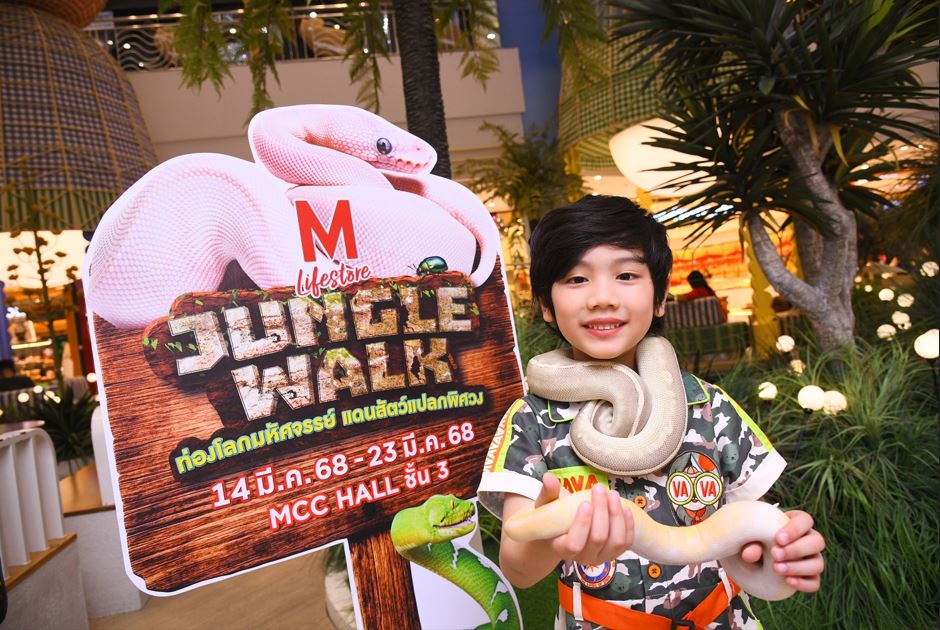 งาน “THE MALL LIFESTORE JUNGLE WALK 2025”

ตอน ท่องโลกมหัศจรรย์ แดนสัตว์แปลกพิศวง EPISODE 1

วันที่ 14 – 23 มีนาคม 2568 ณ MCC HALL ชั้น 3 เดอะมอลล์ไลฟ์สโตร์ บางแค