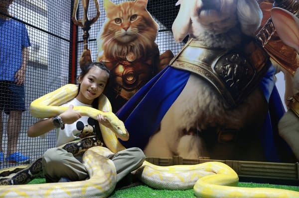 เปิดฉากยิ่งใหญ่ "Pet Expo Thailand 2025" ฉลองครบรอบ 25 ปี
พบไฮไลท์สัตว์หายาก กิจกรรมโดนใจ สินค้า-บริการนวัตกรรมเพื่อสัตว์เลี้ยงจัดเต็มกว่าใคร