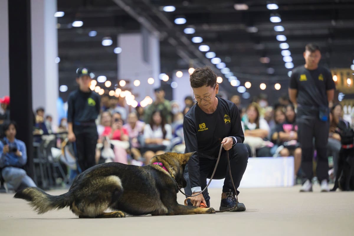 เชิญชวนคนรักสัตว์เลี้ยงมาร่วมงาน “สหกรุ๊ปแฟร์ ครั้งที่ 29”
พบกับบูธ Ora Pet Care แบรนด์สินค้าเพื่อสัตว์เลี้ยงจากเครือสหพัฒน์ ที่ขนความน่ารักและกิจกรรมสนุกๆ มาเอาใจเหล่าทาสหมาทาสแมวโดยเฉพาะ