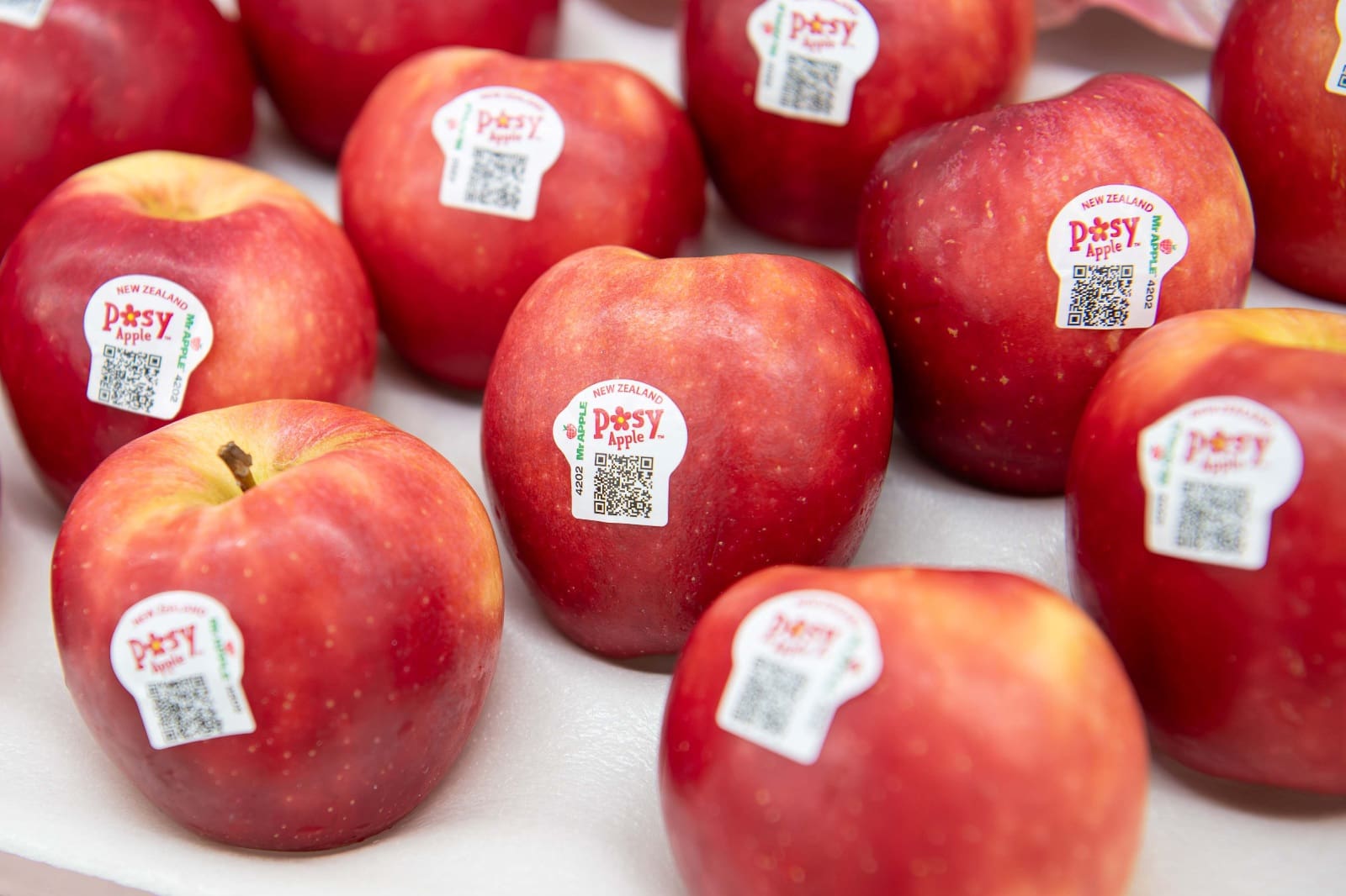 บิ๊กซี ร่วมกับ สถานเอกอัครราชทูตนิวซีแลนด์ประจำประเทศไทย
จัดงาน “New Zealand Made with Care 2025”
รวมสุดยอดผลไม้และผลิตภัณฑ์คุณภาพจากประเทศนิวซีแลนด์