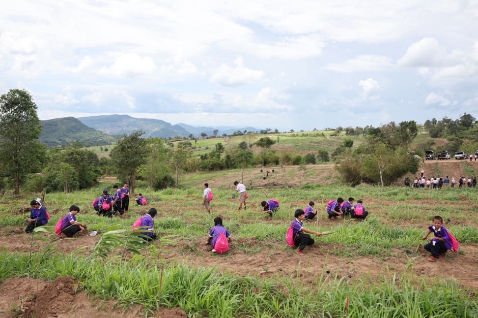 ออมสิน ขยายผลปลูกป่าอีก 2,500 ไร่ จ.เลย ในโครงการ “ปลูกป้องโลก” ตามแผน Net Zero 2050