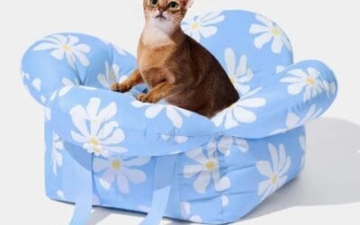 พร้อมพาน้อง ๆ ผจญภัยด้วยกระเป๋าใส่สัตว์เลี้ยง Daisy Car Seat Pet Carrier จาก VETRESKA