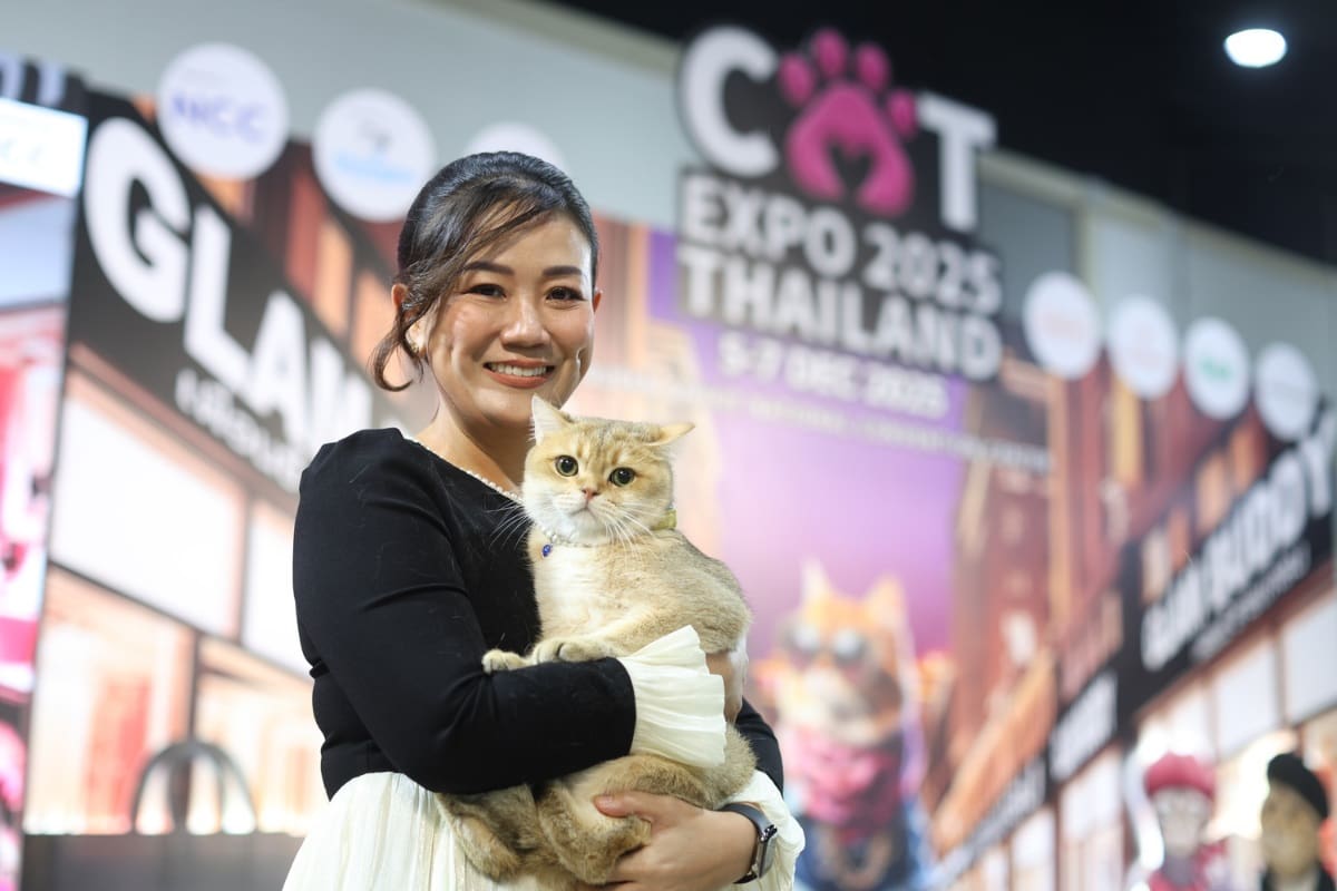 เริ่มแล้ว Cat Expo Thailand 2025 วันแรก 'ทาสแมว' แห่ร่วมงานคึกคัก คาดเม็ดเงินสะพัด 120 ล้านบาท!