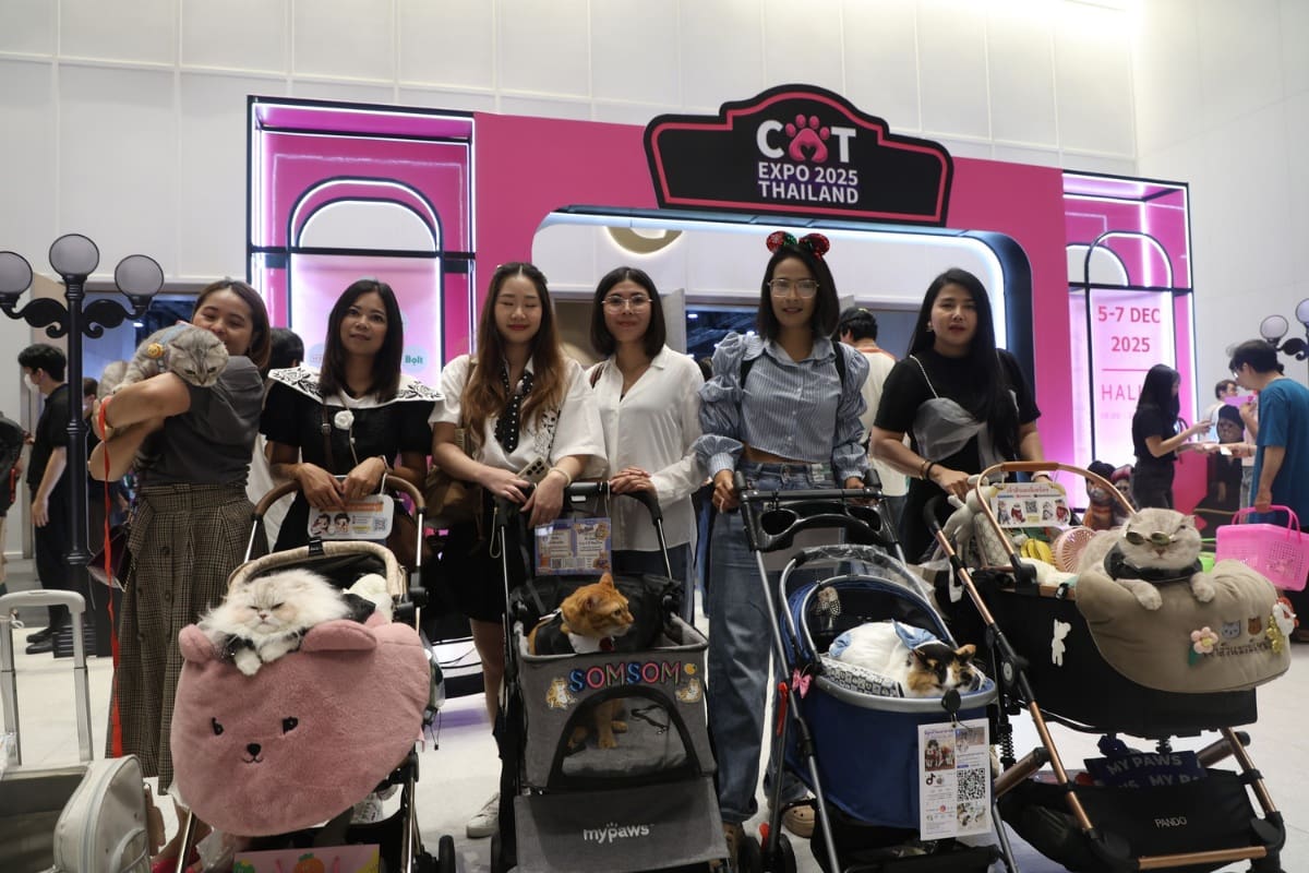 เริ่มแล้ว Cat Expo Thailand 2025 วันแรก 'ทาสแมว' แห่ร่วมงานคึกคัก คาดเม็ดเงินสะพัด 120 ล้านบาท!