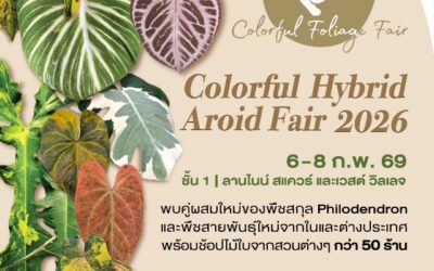 กลับมาอีกครั้ง Colorful Foliage #7 งาน Colorful Hybrid Aroid Fair 2026ชวนช้อปชมโชว์ความงดงามไม้ใบไม้ด่าง 6-8 ก.พ.นี้ ที่เดอะไนน์ เซ็นเตอร์ พระราม 9