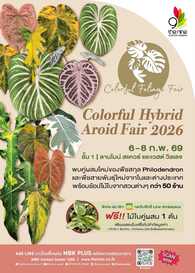 กลับมาอีกครั้ง Colorful Foliage #7 งาน Colorful Hybrid Aroid Fair 2026ชวนช้อปชมโชว์ความงดงามไม้ใบไม้ด่าง 6-8 ก.พ.นี้ ที่เดอะไนน์ เซ็นเตอร์ พระราม 9