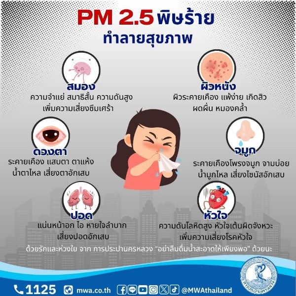 PM 2.5 ภัยร้ายใกล้ตัว ทำลายสุขภาพโดยไม่รู้ตัว