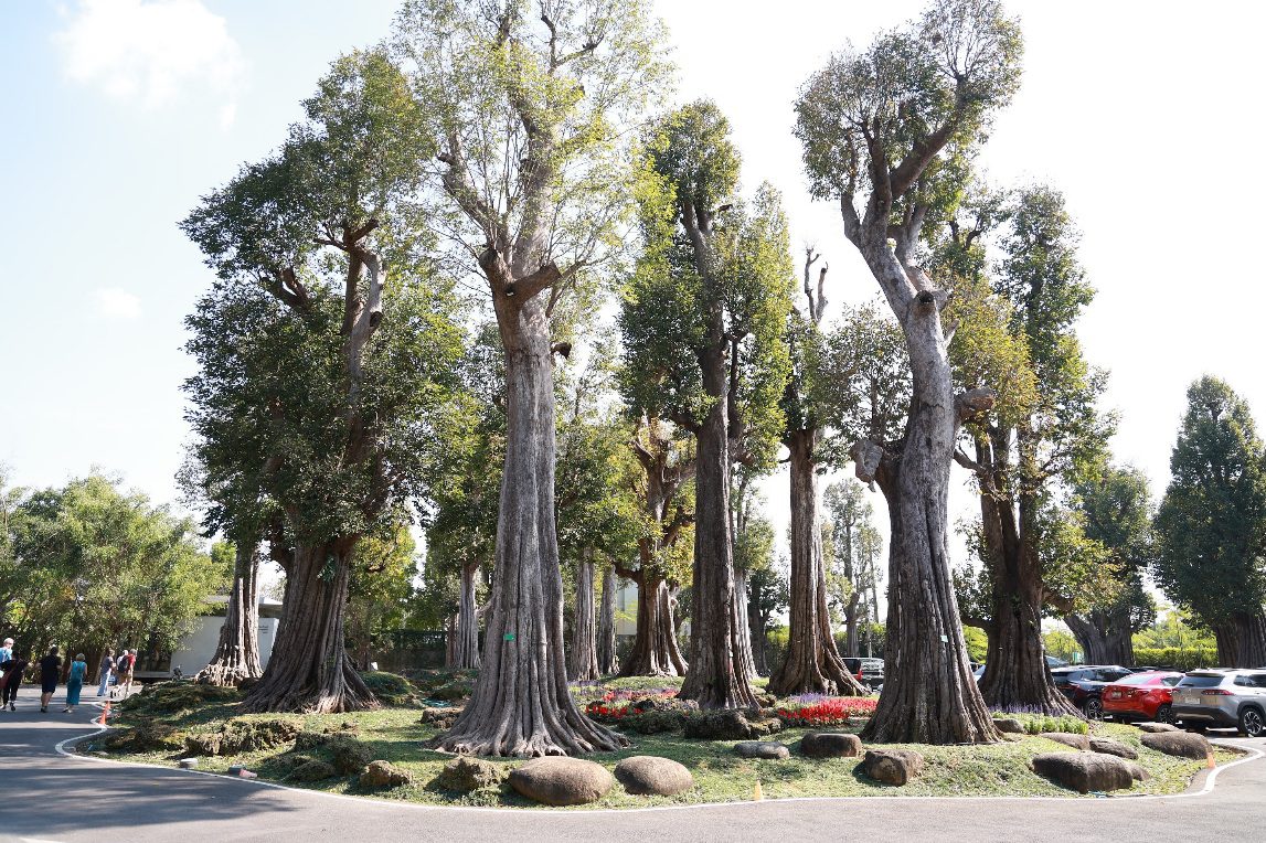 ธ.ก.ส. ร่วมกับหน่วยงานด้านนโยบาย เยี่ยมชมงานพื้นที่จังหวัดเชียงราย เชียงใหม่ และลำพูน