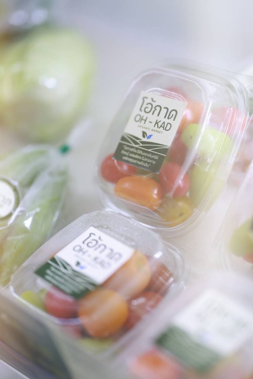 ธ.ก.ส. ร่วมกับหน่วยงานด้านนโยบาย เยี่ยมชมงานพื้นที่จังหวัดเชียงราย เชียงใหม่ และลำพูน