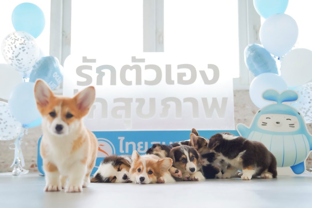 OCEAN LIFE ไทยสมุทรประกันชีวิต ชวนลูกค้าเปิดประสบการณ์ ‘Puppy Yoga’ สุดเอ็กซ์คลูซีฟ รับพลังบวกในเวิร์กชอปโยคะกับน้องสุนัขตัวโปรด