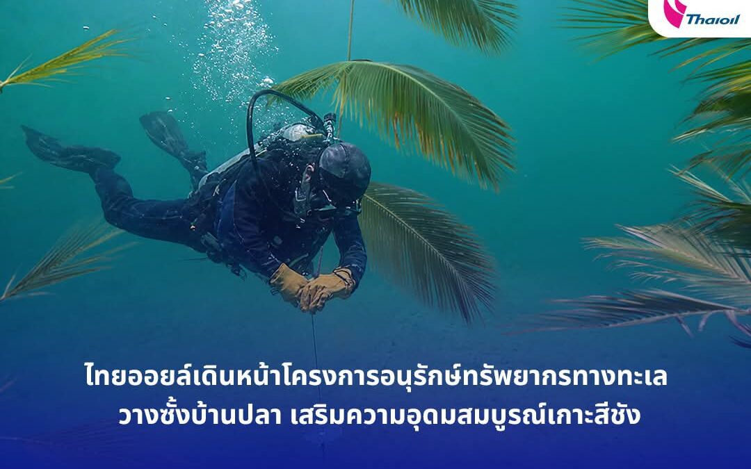 ไทยออยล์เดินหน้าโครงการอนุรักษ์ทรัพยากรทางทะเล วางซั้งบ้านปลา เสริมความอุดมสมบูรณ์เกาะสีชัง